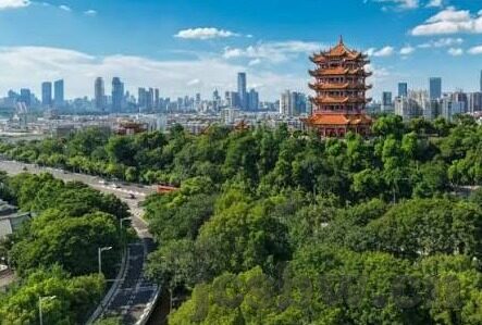 亚洲中文字幕在线-探索亚洲影视文化的多元魅力，中文字幕在线的独特视角